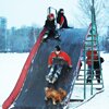 Балаково новогодний